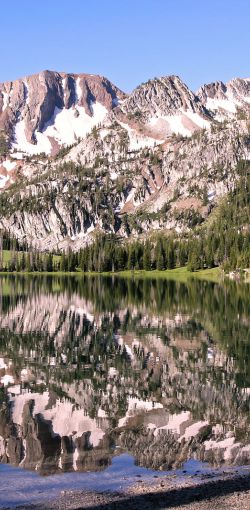 aneroid reflections 7 aneroid reflections 7