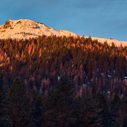 ruby pk sunrise 1 24 21 ruby pk sunrise 1 24 21