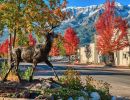 bronze deer fall cleaned baird c