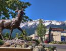 bronze deer joseph or 6 14
