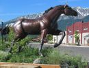 bronze horse 7 2