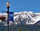 chief joseph mtn banner flowers 6 18