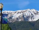 chief joseph mtn banner flowers 6 9
