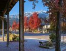 joseph main covered walkway fall