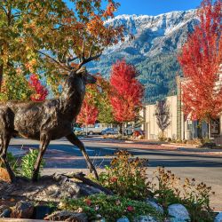 bronze deer fall cleaned baird c