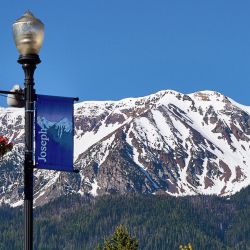 chief joseph mtn banner flowers 6 18