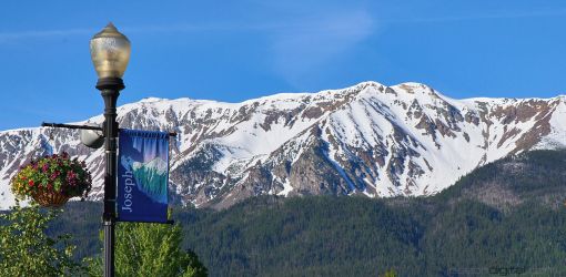 chief joseph mtn banner flowers 6 9