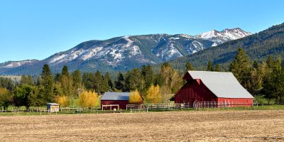 joseph or pine tree barn 5 8
