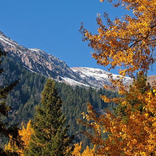 chief joseph mtn from riverside fall